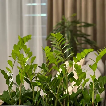 M&m2 Near Center With Free Parking - Ac * Košice