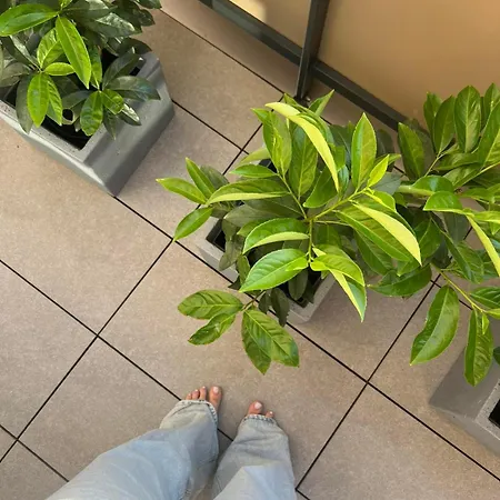 Apartmán M&m2 Near Center With Free Parking - Ac Košice